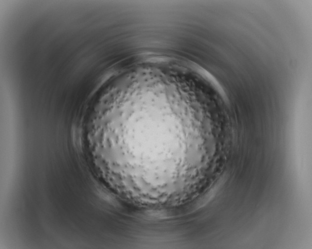 X0000113531194200910021323