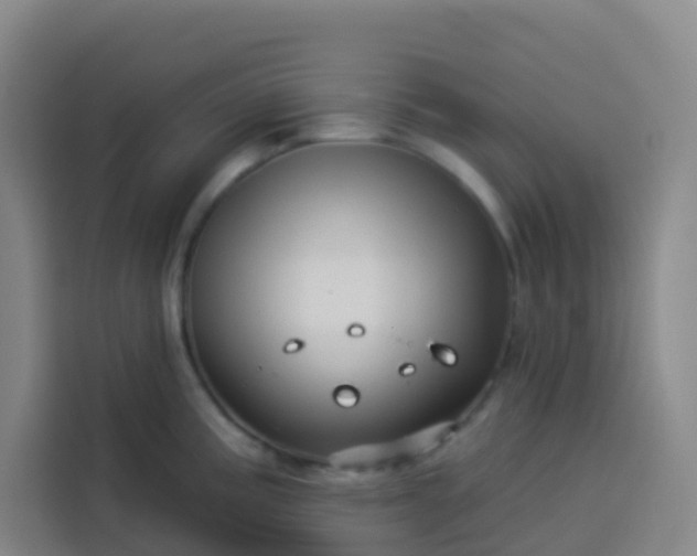 X0000113531195200910021323