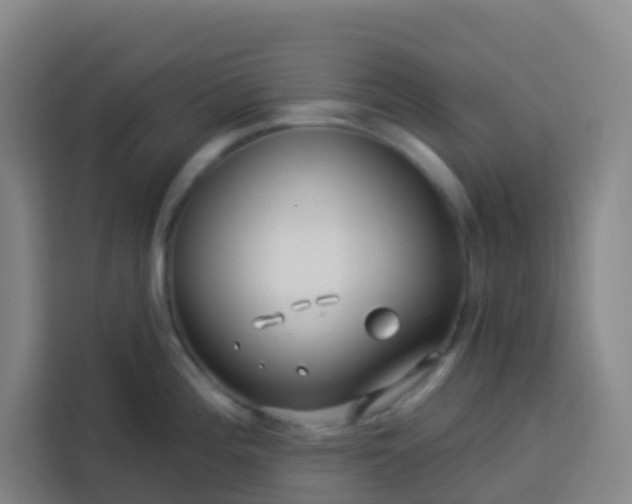 X0000113531196200910021323