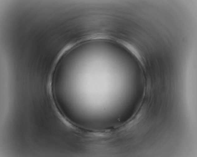 X0000113531197200910021323