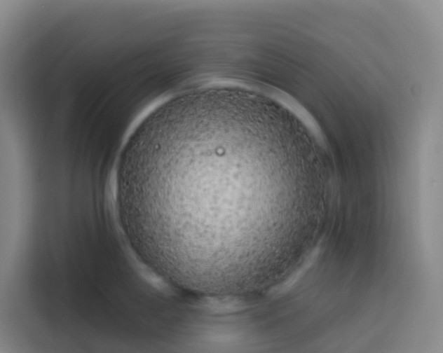 X0000113531198200910021323