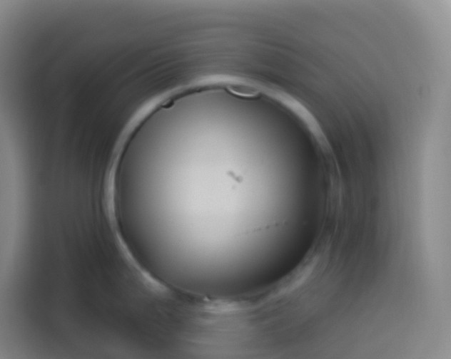 X0000113531199200910021323