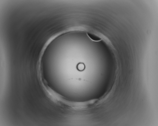 X0000113531200200910021323