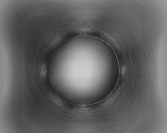 X0000113531204200910021322