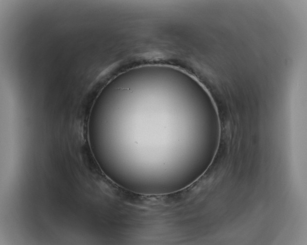 X0000113531205200910021322