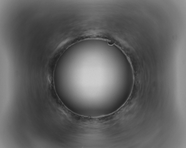 X0000113531206200910021323