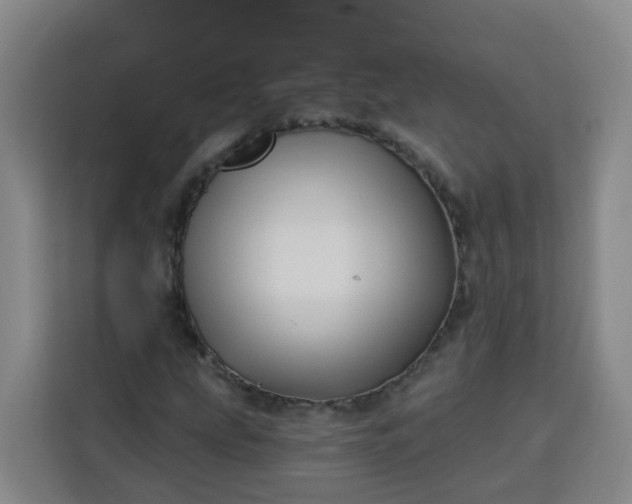 X0000113531207200910021323