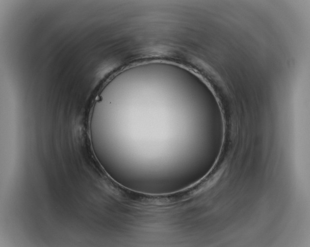 X0000113531210200910021323