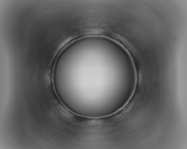 X0000113531212200910021323