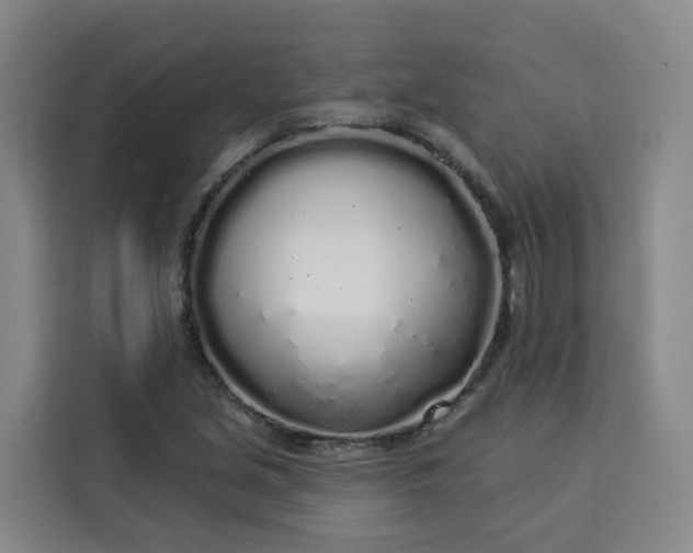 X0000113531213200910021323