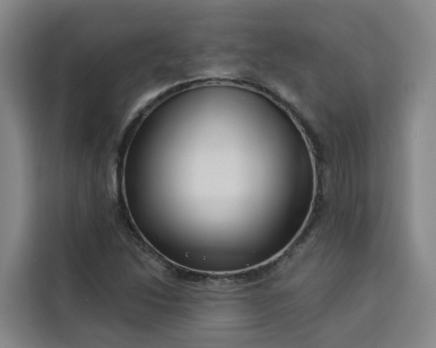 X0000113531214200910021323