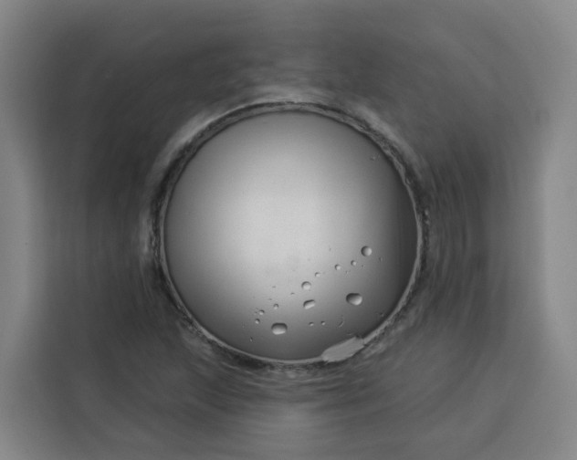 X0000113531215200910021323