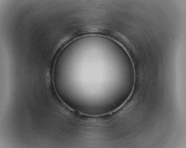 X0000113531218200910021323