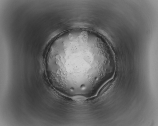 X0000113531219200910021323