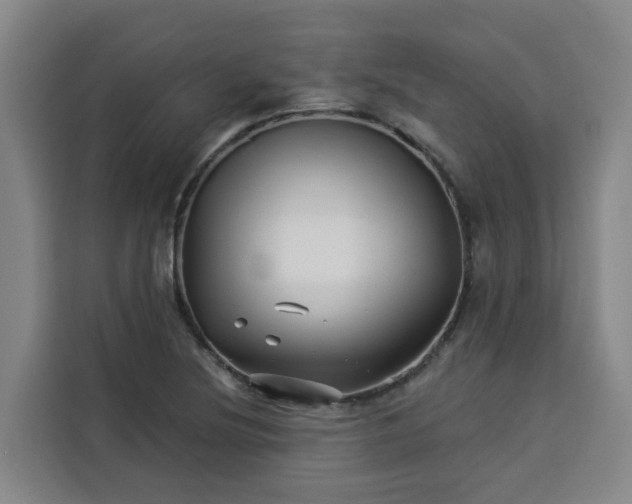 X0000113531220200910021323