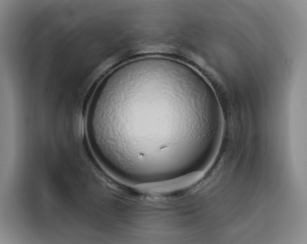 X0000113531221200910021323