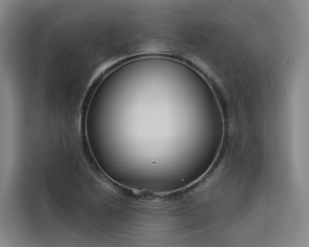 X0000113531222200910021323