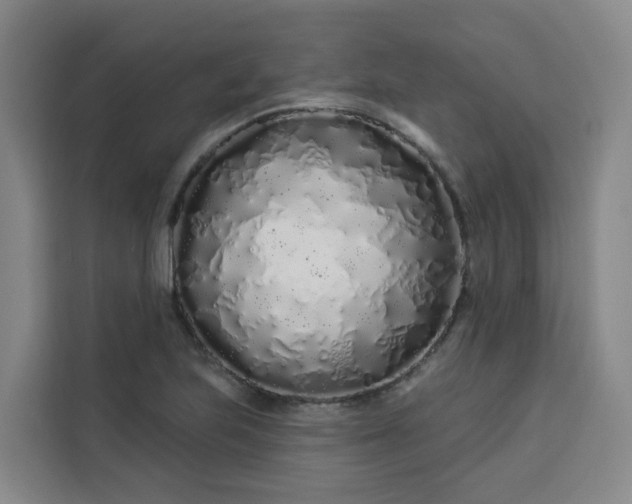 X0000113531223200910021323