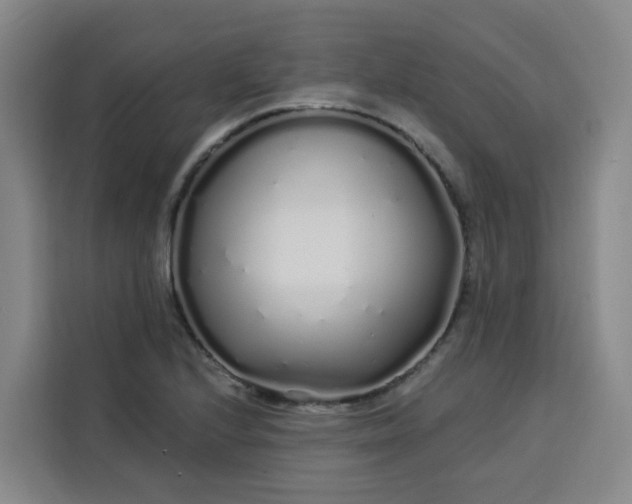 X0000113531224200910021323