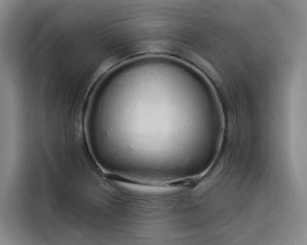 X0000113531226200910021323