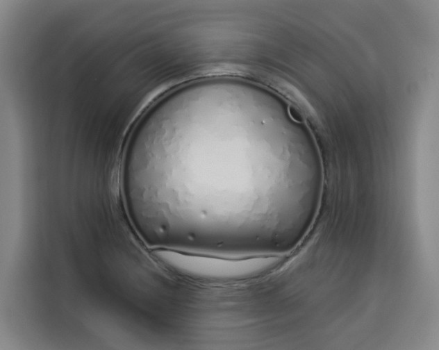 X0000113531228200910021323