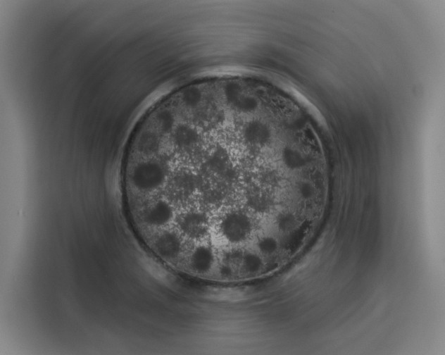 X0000113531229200910021323