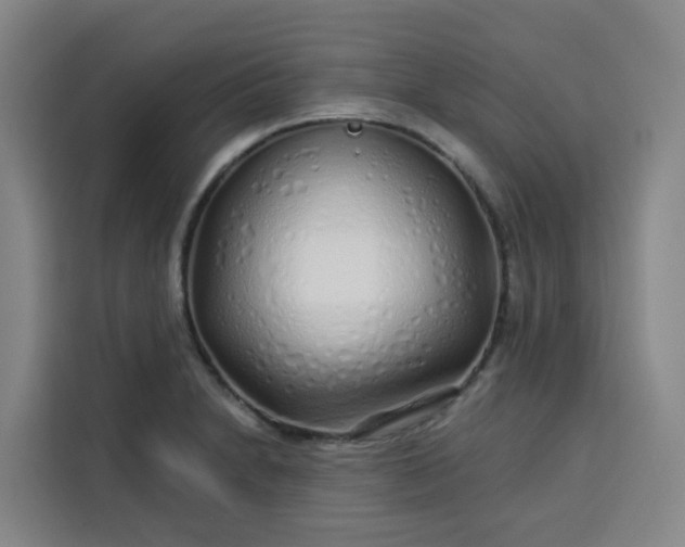 X0000113531230200910021323