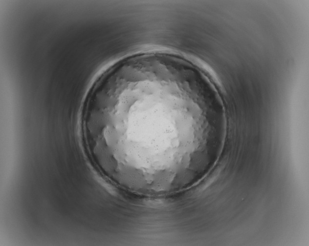 X0000113531231200910021323