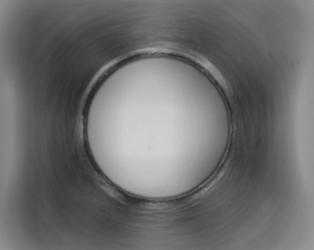 X0000113531232200910021323