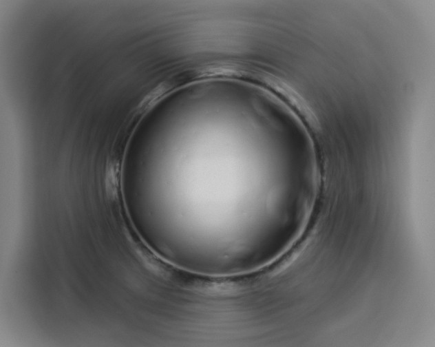 X0000113531233200910021323