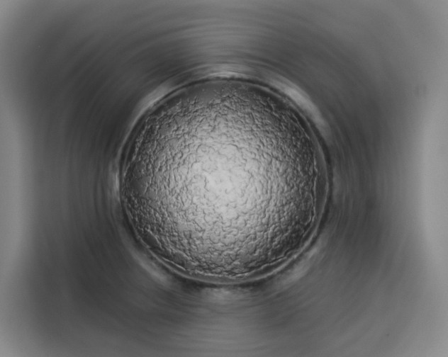 X0000113531234200910021323