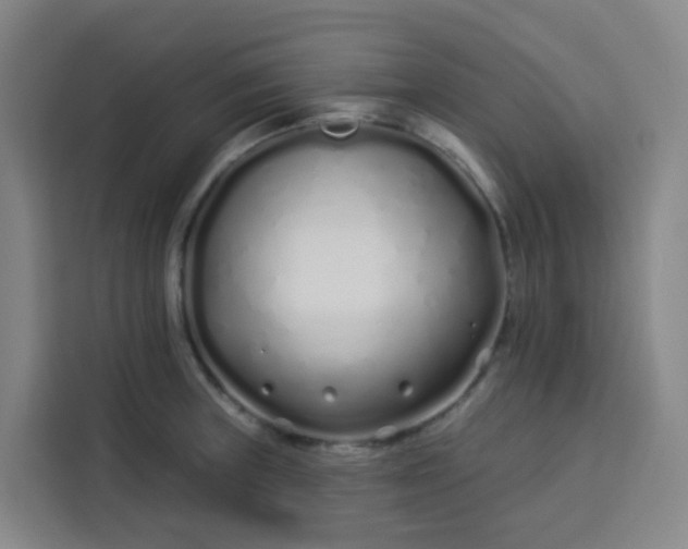 X0000113531235200910021323