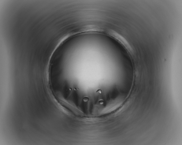 X0000113531236200910021323