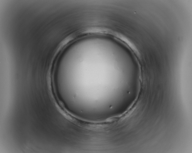 X0000113531237200910021323