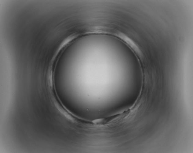 X0000113531238200910021323