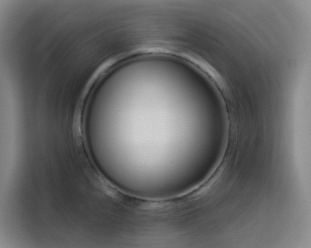 X0000113531240200910021323