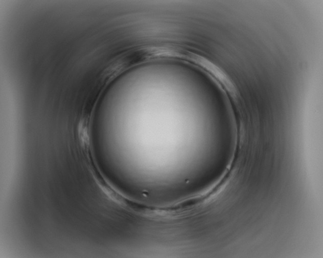 X0000113531241200910021323