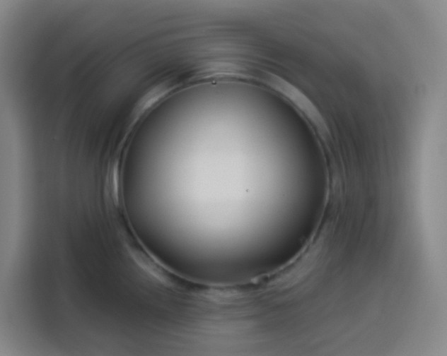 X0000113531242200910021323