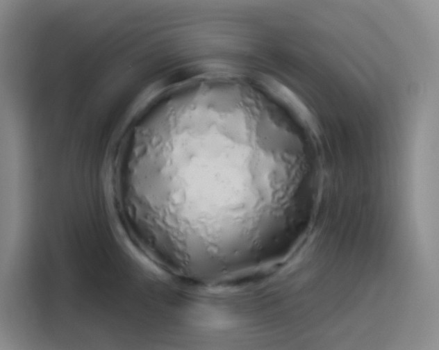 X0000113531243200910021323