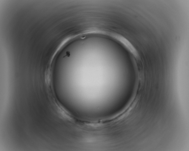 X0000113531244200910021323