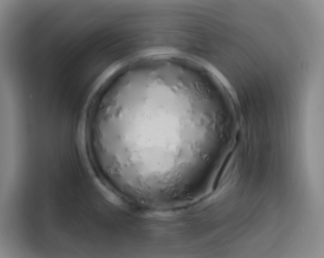 X0000113531245200910021323