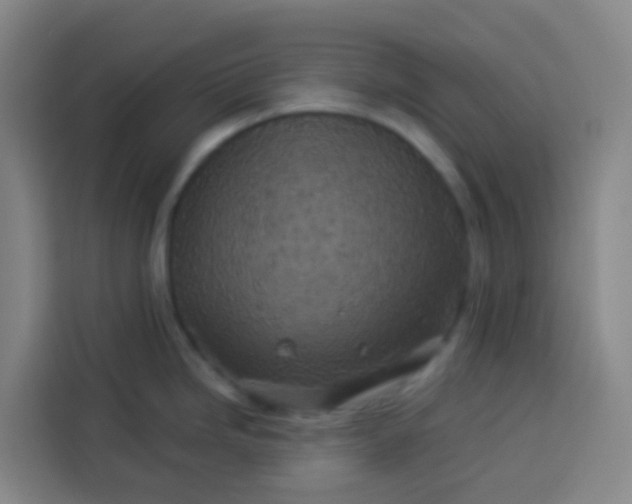 X0000113531246200910021323