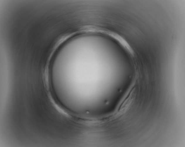 X0000113531247200910021323