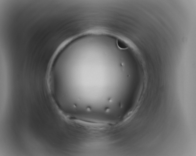 X0000113531248200910021323