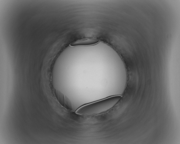 X0000113531249200910021322