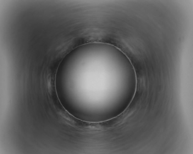 X0000113531250200910021322