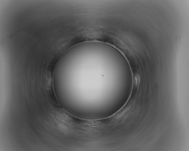 X0000113531251200910021322