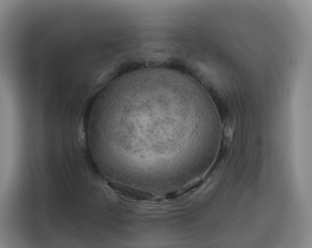 X0000113531252200910021322