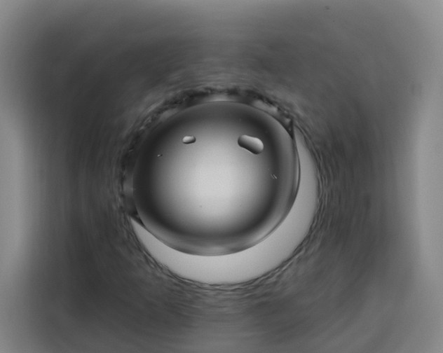 X0000113531253200910021322