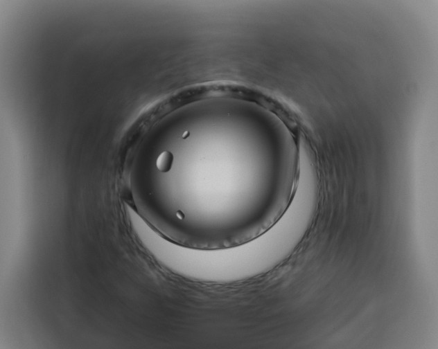 X0000113531255200910021322